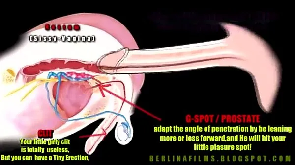 Big shemale anatomy drive Clips